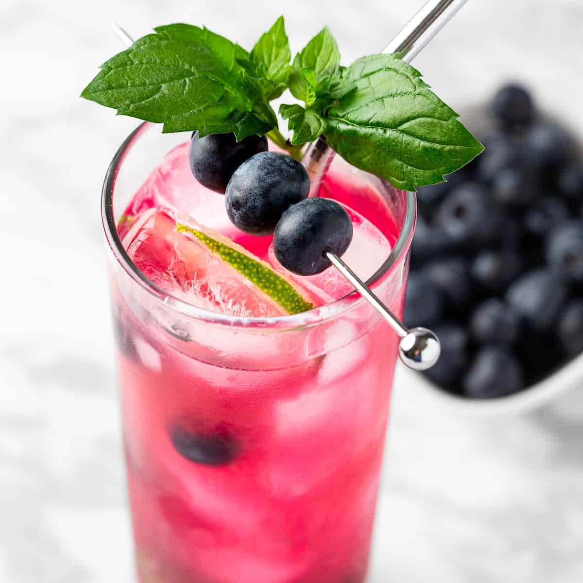 Blueberry Mojitos - The Littlest Crumb