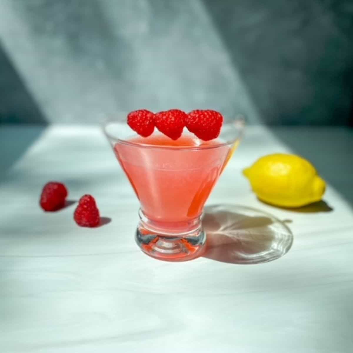 Raspberry Lemon Elderflower Gin Cocktail - Happy Honey Kitchen
