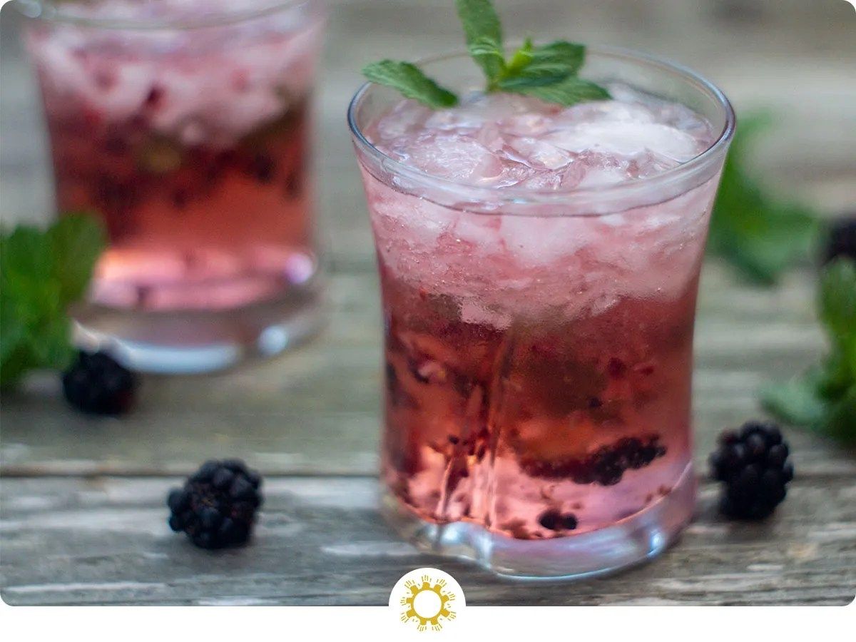 Blackberry Mint Julep: Refreshing Cocktail
