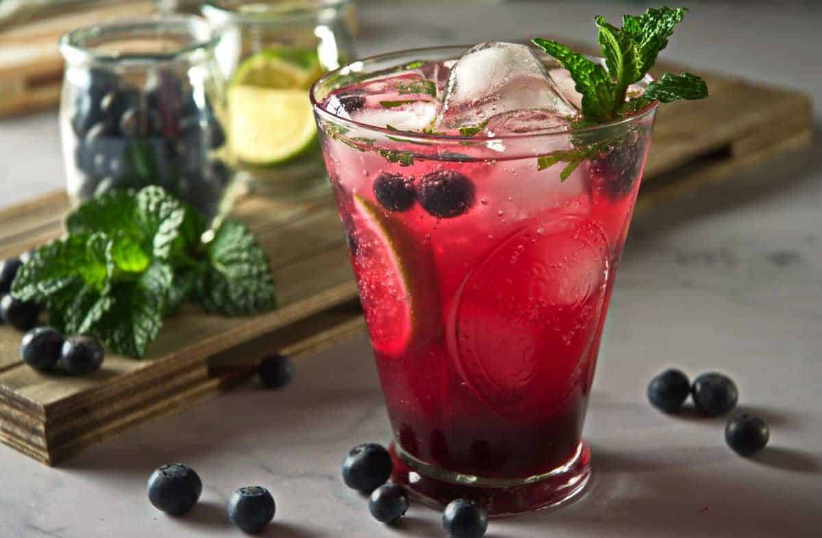 Blueberry Mojito Mocktail