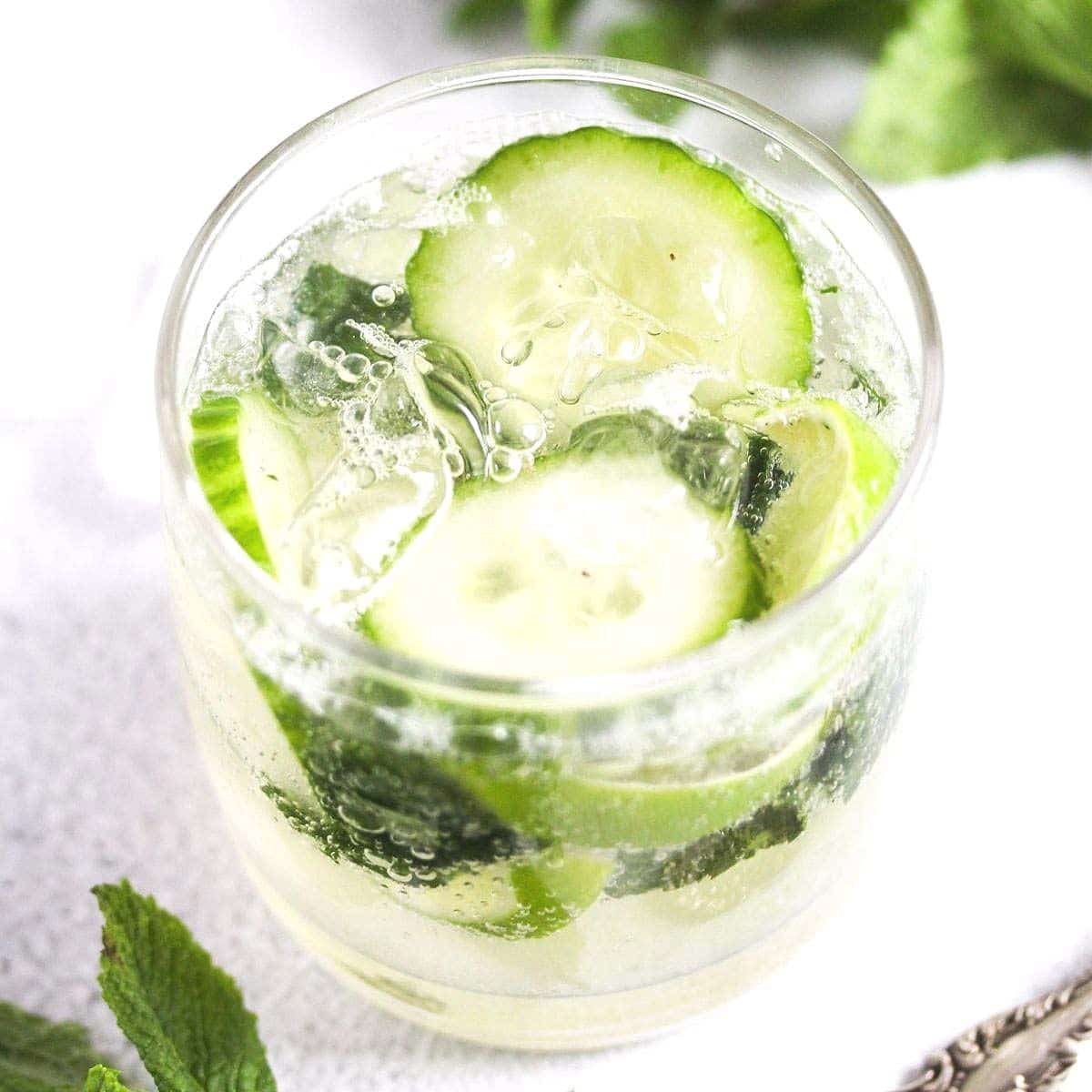 Gin Mojito (with Mint)