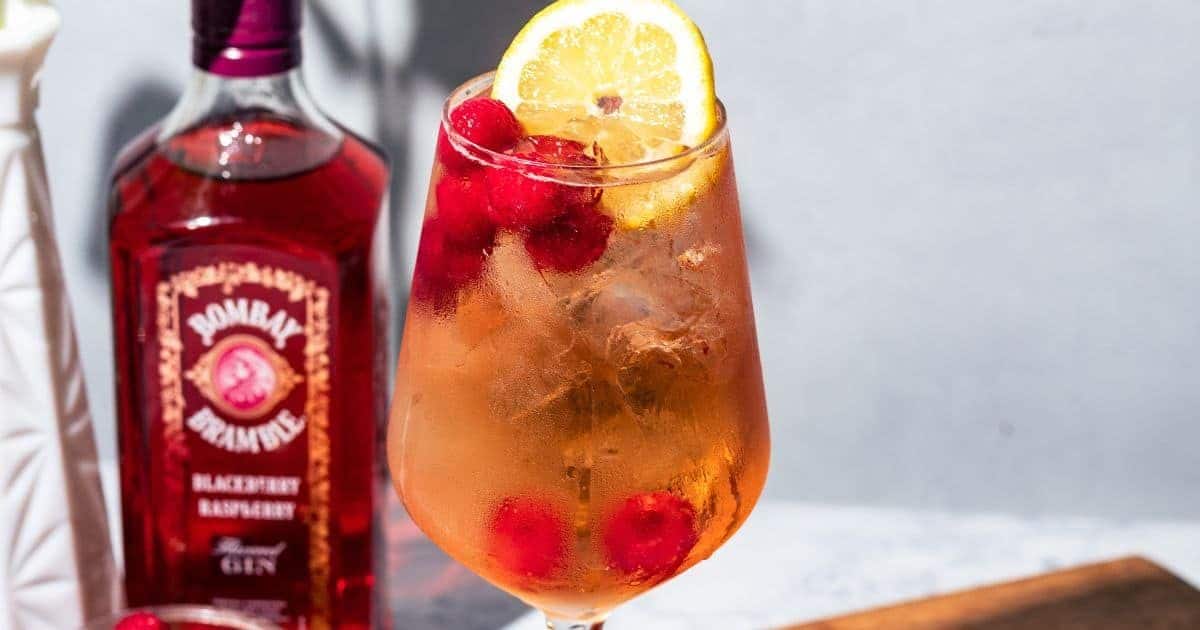 Raspberry Bramble Berry Gin Spritz Cocktail