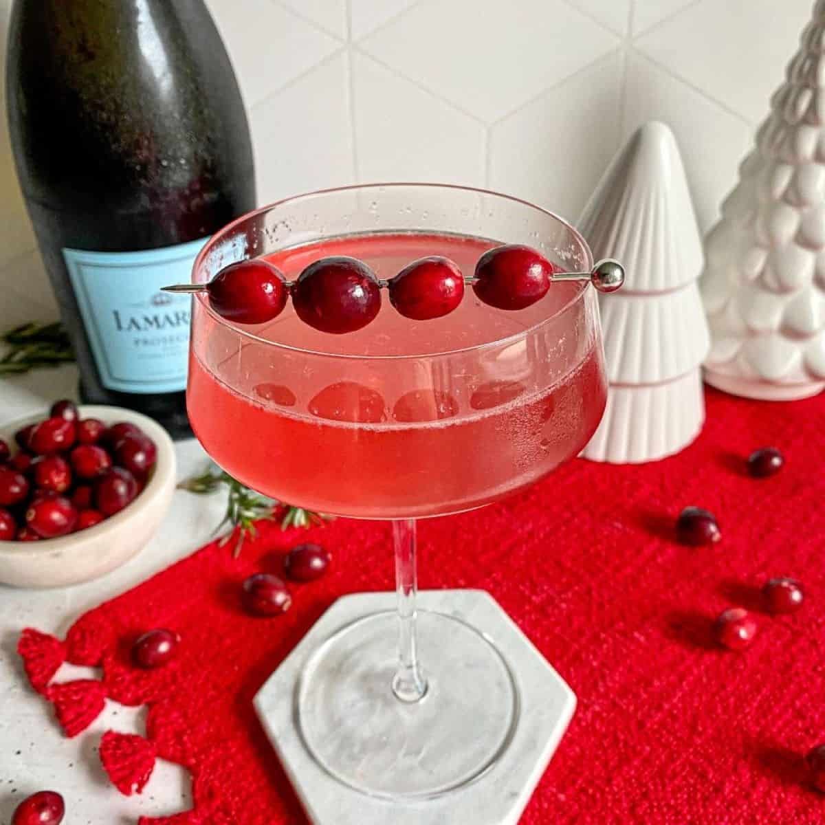 Sparkling Cranberry Gin Cocktail - Happy Honey Kitchen