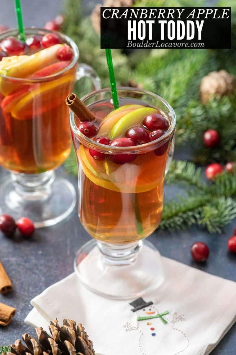 Cranberry Apple Hot Toddy