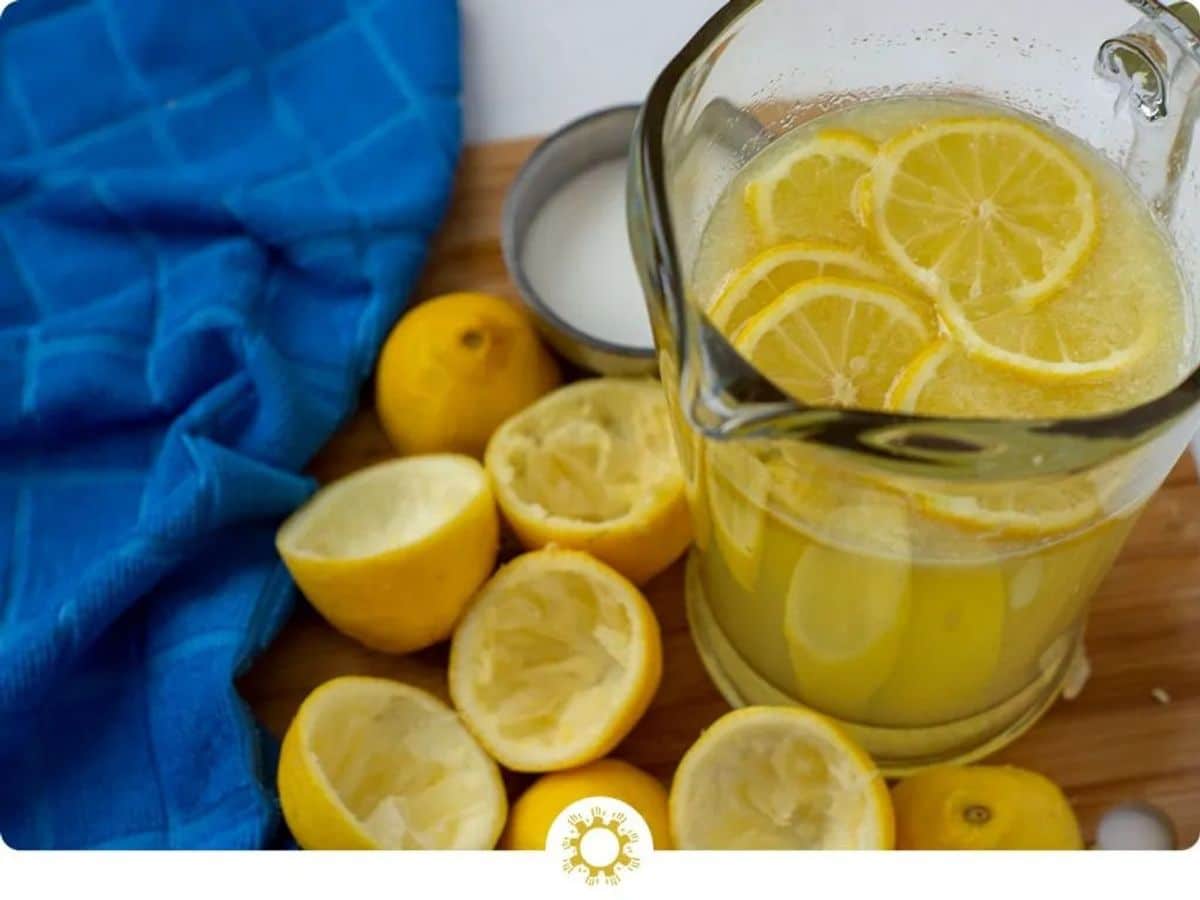 Easy Peasy Lemon Squeezy Lemonade