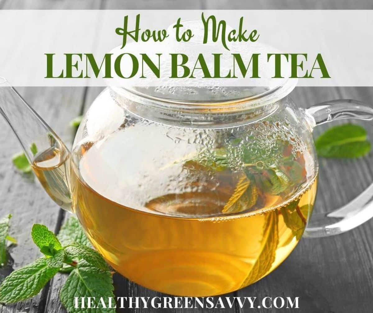 How to Make Lemon Balm Tea from Fresh or Dried Lemon Balm