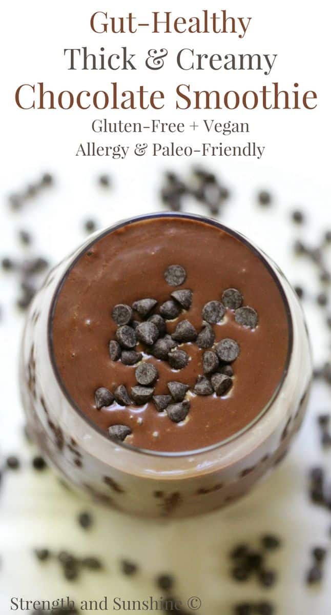 Gut-Healthy Thick & Creamy Chocolate Smoothie (Gluten-Free, Vegan)