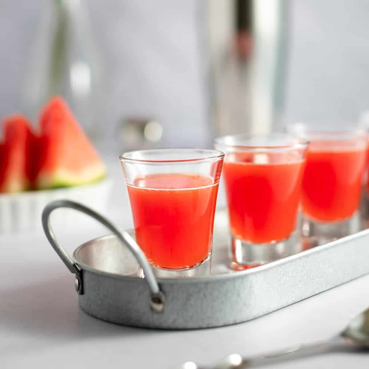 Watermelon Shooters - The Littlest Crumb