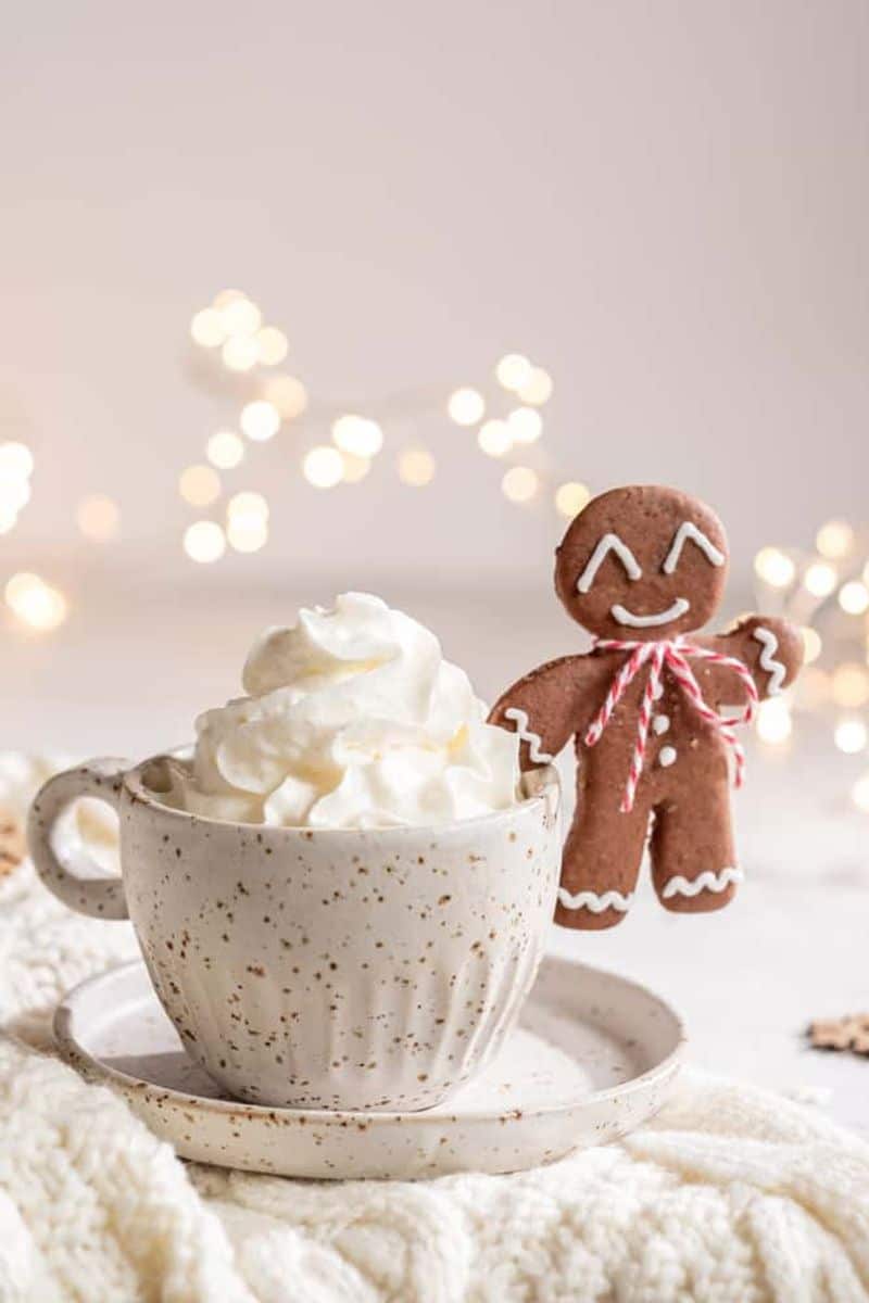 Gingerbread Latte Recipe - Sip Herbals Blog
