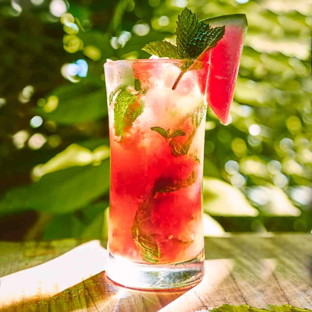 Mezcal Mojito with Watermelon - Redwood Kitchen