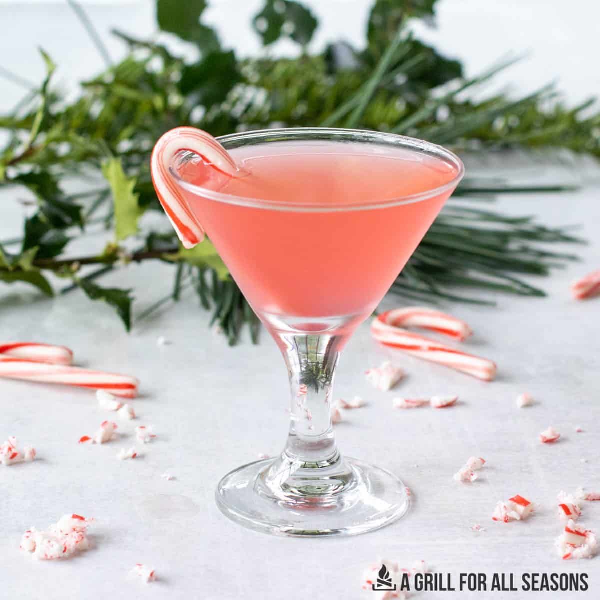 Candy Cane Martini : Easy Christmas Cocktail!