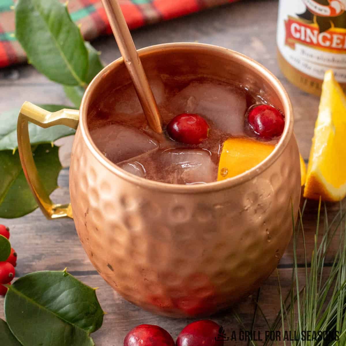 Christmas Moscow Mule : Easy Holiday Cocktail Recipe!