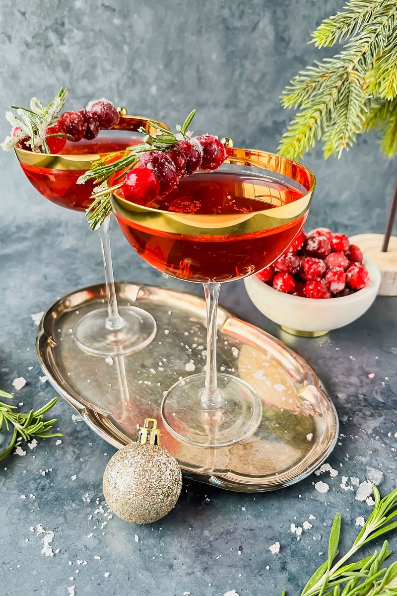Cranberry Fizz Cocktail