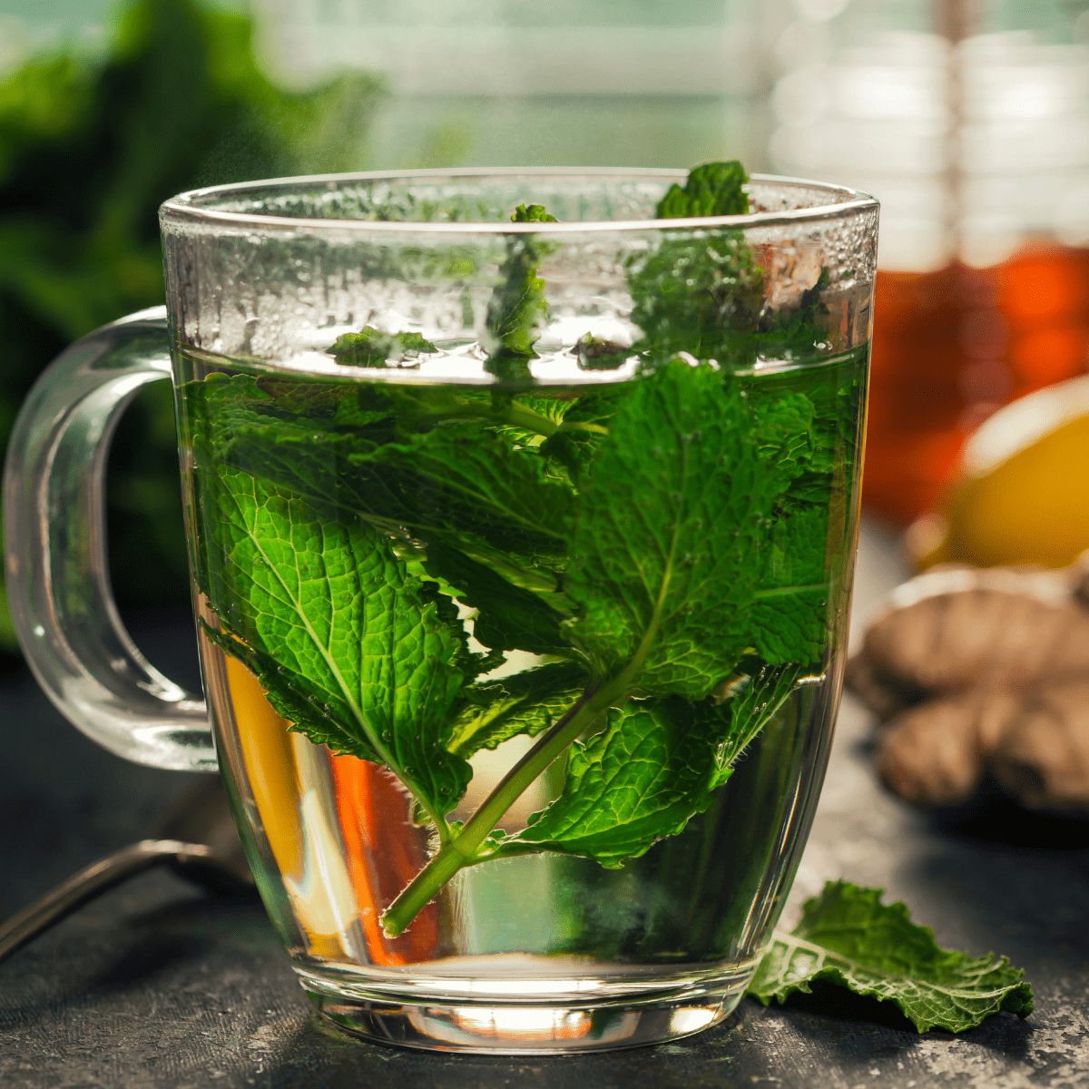 Easy Fresh Mint Tea {Hot or Iced} - The Peasant's Daughter