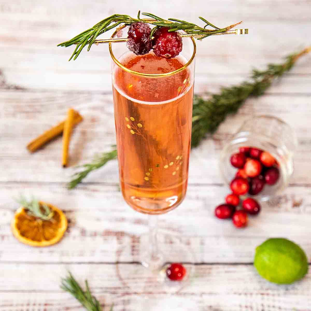 Downton Abbey Christmas Champagne Cocktail – Art of Natural Living