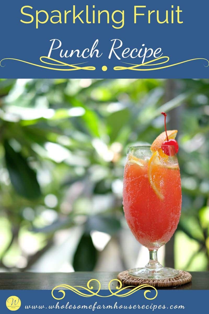 Sparkling Fruit Punch Recipe