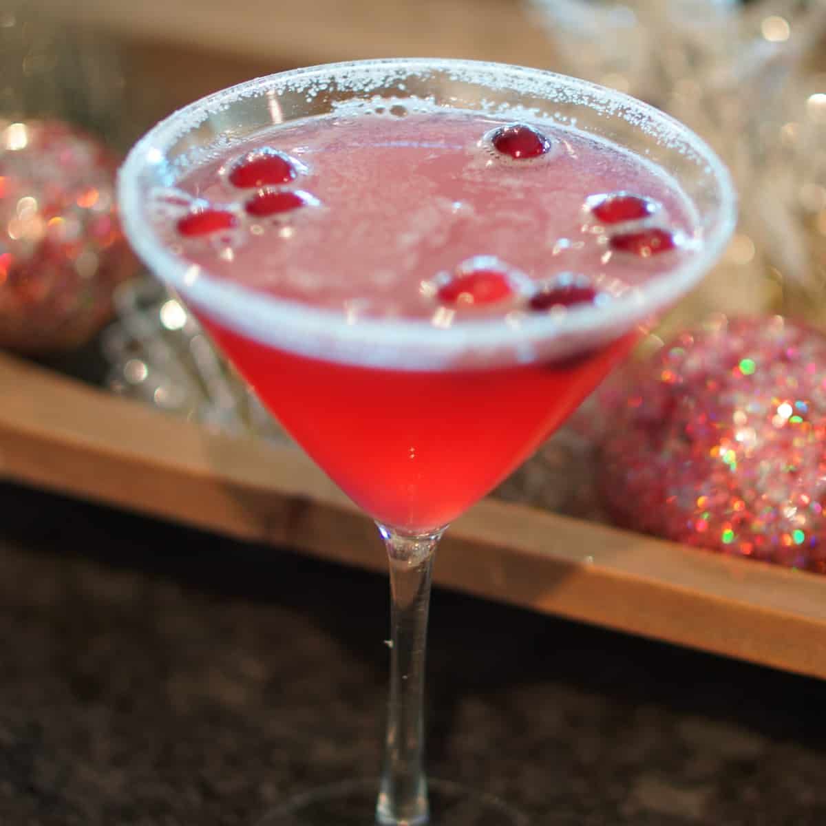 Cran-Merry Vodka Martini