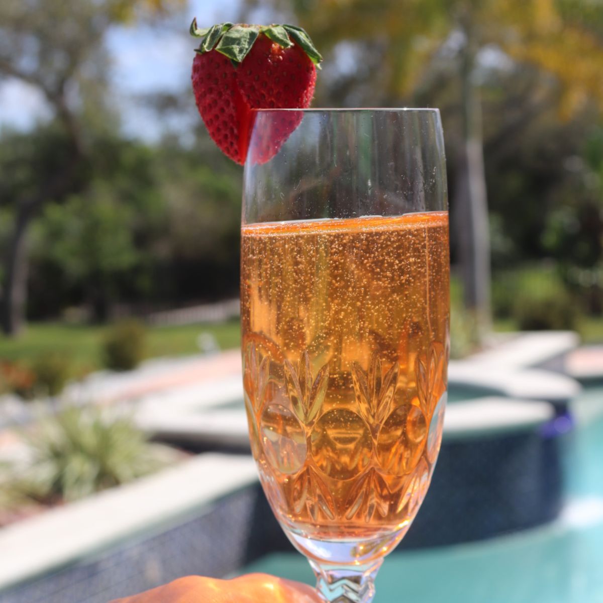 Strawberry Bellini Recipe - Perfect for Any Special Occasion